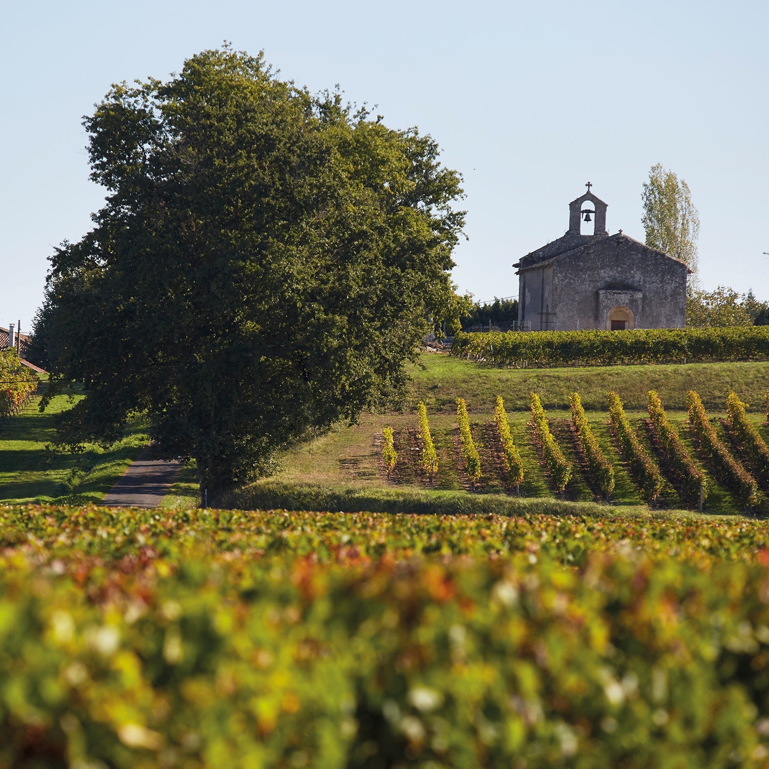 Château Chapelle d'Alienor