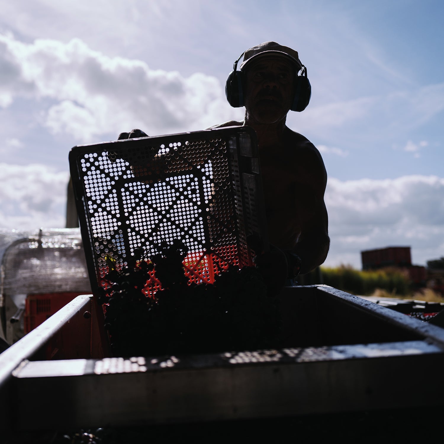 Château La Connivence