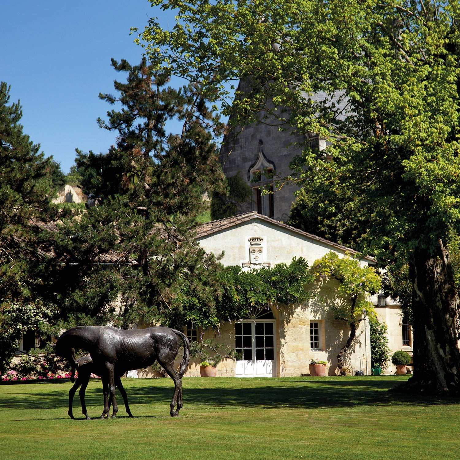 Comtesse de Malet Roquefort