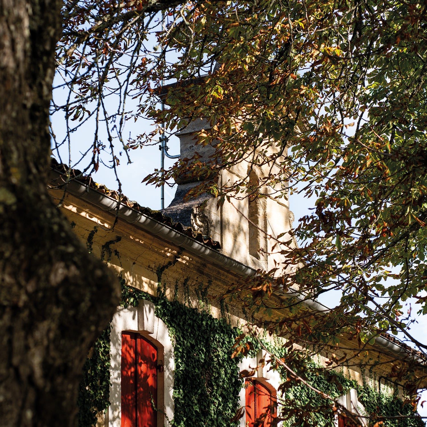 Château Puyblanquet