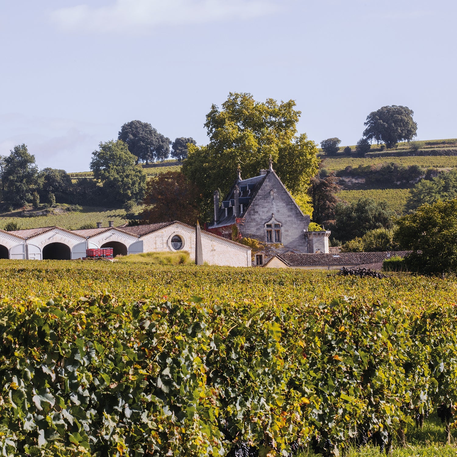 Clos la Gaffelière